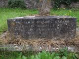 image number 4
